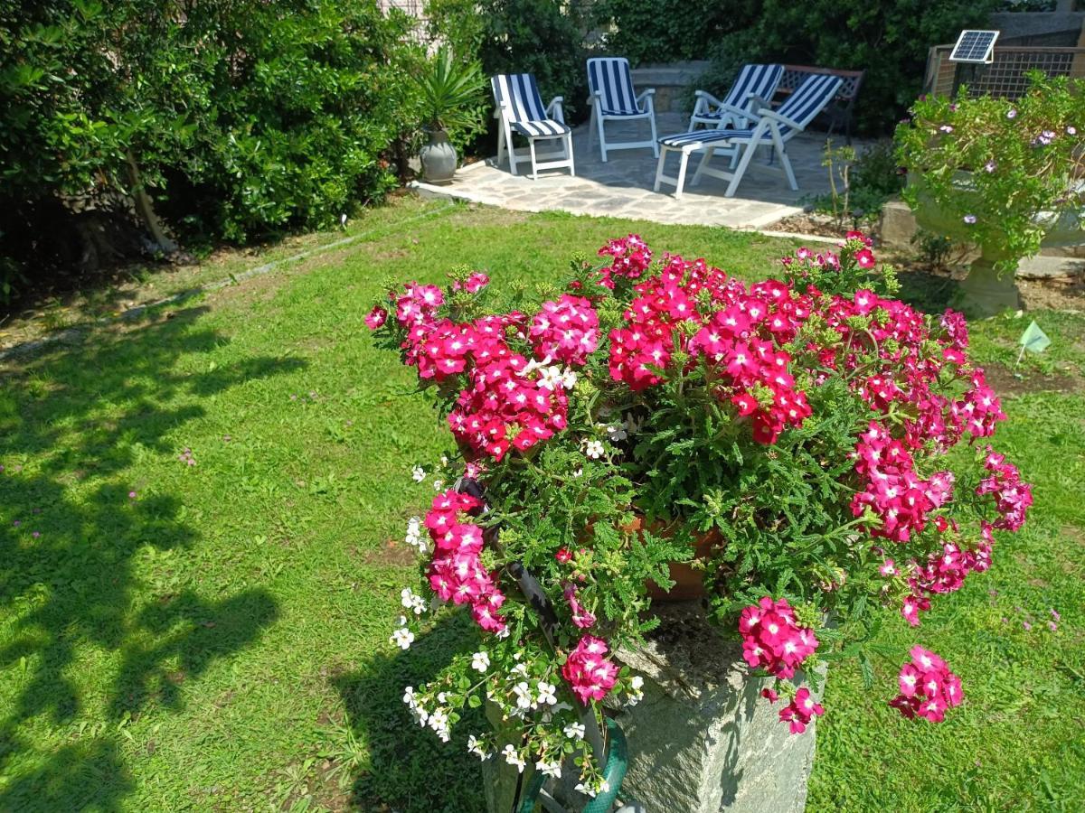 Il Giardino A Boccadasse Janov Exteriér fotografie