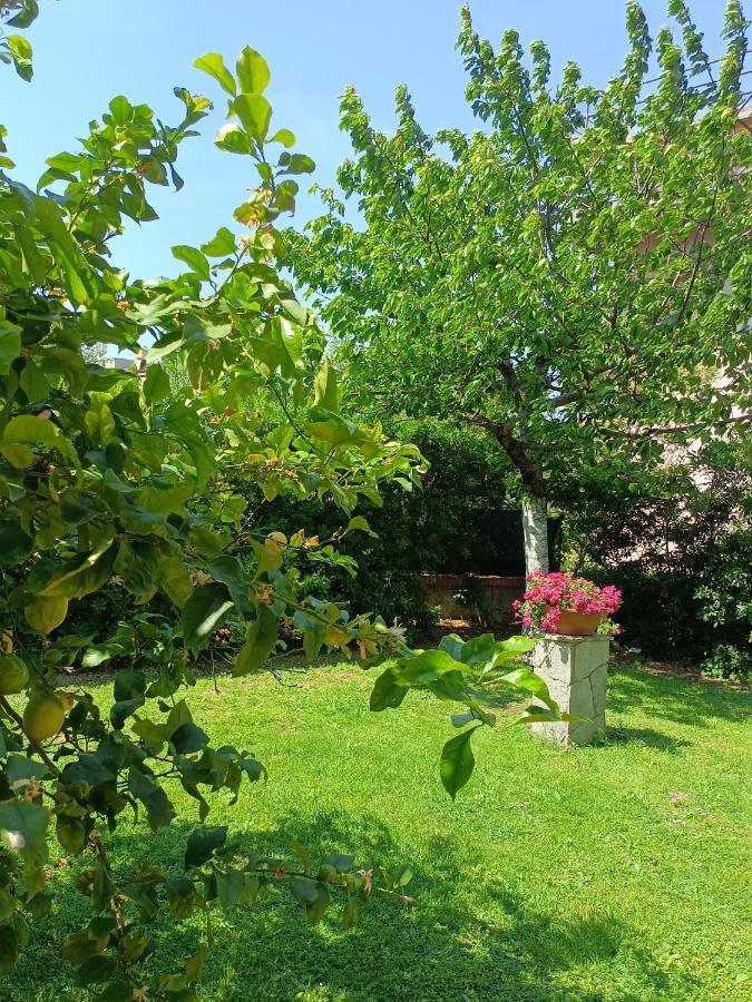 Il Giardino A Boccadasse Janov Exteriér fotografie