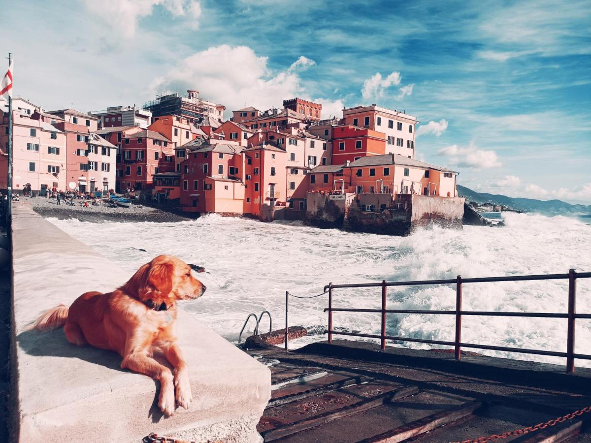 Il Giardino A Boccadasse Janov Exteriér fotografie